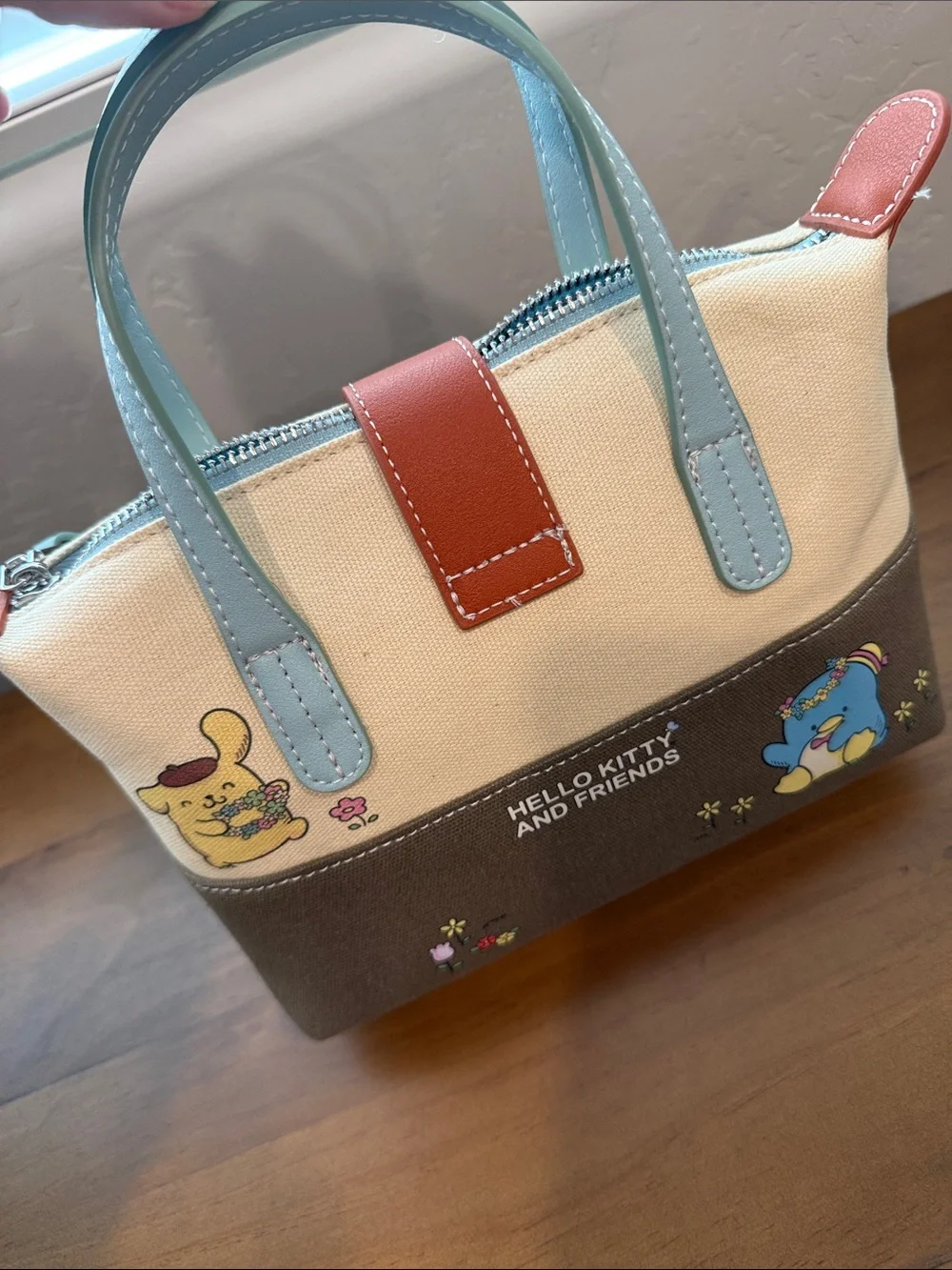 Sanrio Hello Kitty & Friends Floral Color Block Mini Satchel Bag